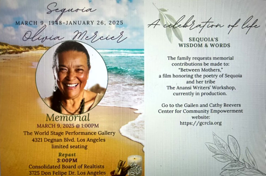 CLICK HERE - Sequoia Olivia Mercier | Memorial Donations For The "Between Mother's Project"  CLICK HERE